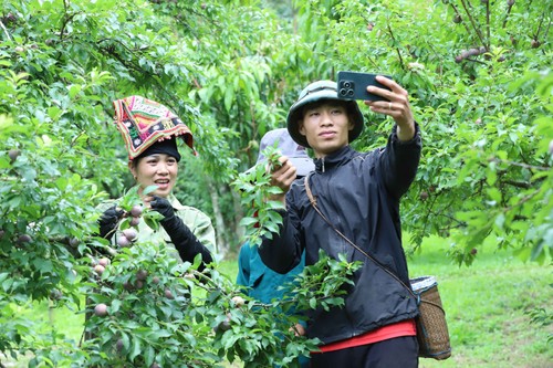 Simple tech, true change: Stories from Son La and Lai Chau Provinces - ảnh 4