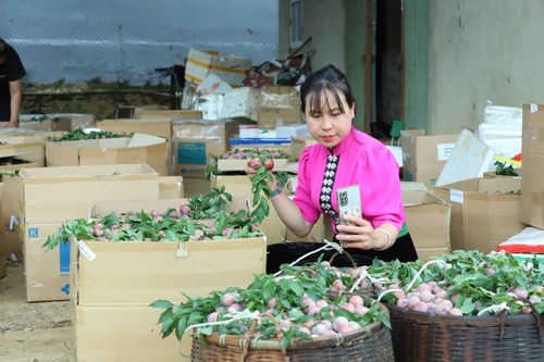 Simple tech, true change: Stories from Son La and Lai Chau Provinces - ảnh 5