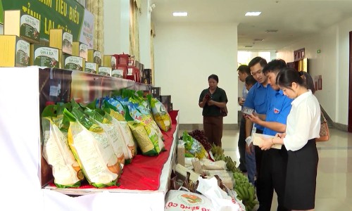 Simple tech, true change: Stories from Son La and Lai Chau Provinces - ảnh 3