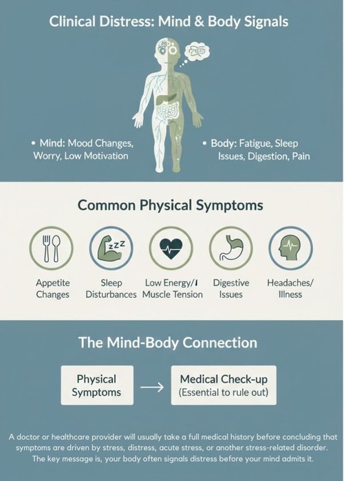 From stress to distress: When to seek help - ảnh 2