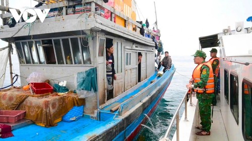 PM requests maximum time, resources to combat IUU fishing - ảnh 1