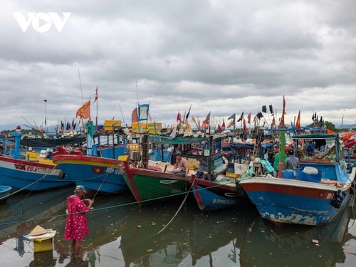 Gia Lai fishermen embrace digital transformation for fishing transparency  - ảnh 1