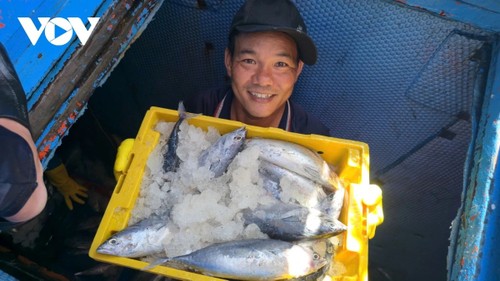 Gia Lai fishermen embrace digital transformation for fishing transparency  - ảnh 2