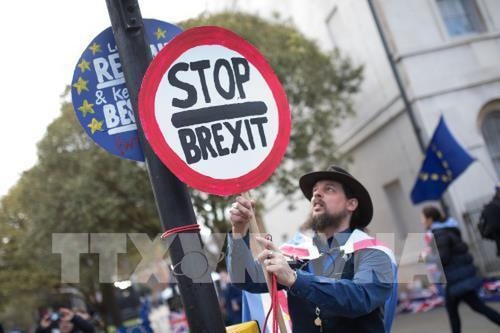 Pawai memprotes Brexit yang paling besar selama banyak dekade di London - ảnh 1