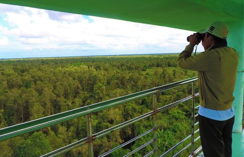 Kekeringan merusakkan Ujung Ca Mau - ảnh 12