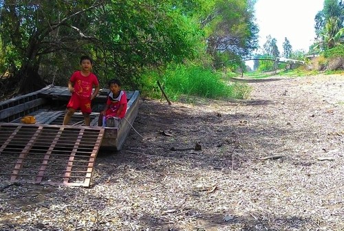 Kekeringan merusakkan Ujung Ca Mau - ảnh 3