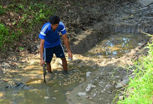 Kekeringan merusakkan Ujung Ca Mau - ảnh 5