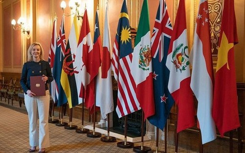 Menteri Perdagangan Internasional Inggris Apresiasi Vietnam yang Dukung Inggris Masuk CPTPP - ảnh 1