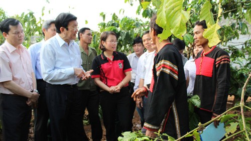 Staatspräsident arbeitet mit dem Volksgericht der Provinz Dak Lak - ảnh 1