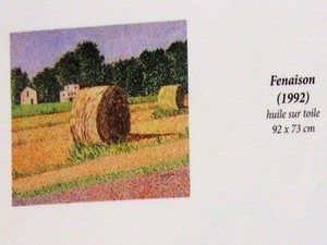 Fotoausstellung in Frankreich für Agent-Orange-Opfer - ảnh 1