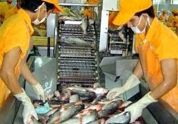 Vietnam begrüßt die Aufhebung des Kontrollprogramms von Pangasius in den USA - ảnh 1