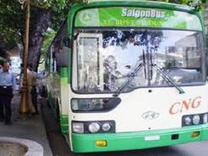 Internationales Seminar über Infrastruktur für Druckerdgas-Industrie - ảnh 1