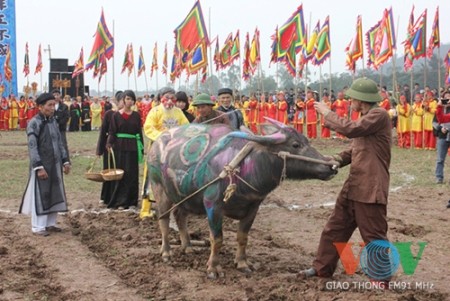 Fest des Reisanbaus - Förderung der landwirtschaftlichen Entwicklung - ảnh 1