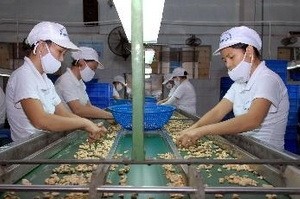 Vietnam beteiligt sich an TPP-Verhandlungsrunde - ảnh 1