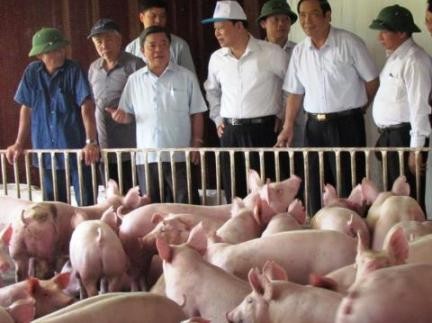 Seminar über die Verbesserung der Fachkenntnisse für Bauern - ảnh 1