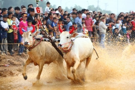 Veranstaltung “Zusammhalt der Volksgruppen – Kulturerbe Vietnams” - ảnh 1