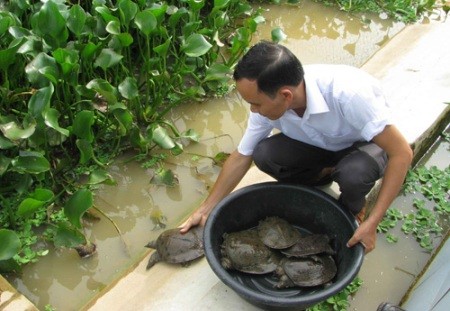 Le Trong Khanh, der mutige Vorsitzende der Genossenschaft Huong Son - ảnh 1