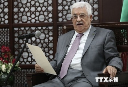 Die USA lehnen Plan zur Gründung eines Palästinenserstaates ab - ảnh 1