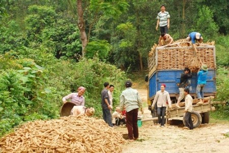 Die nachhaltige Armutsbekämpfung bis 2020 verstärken - ảnh 1