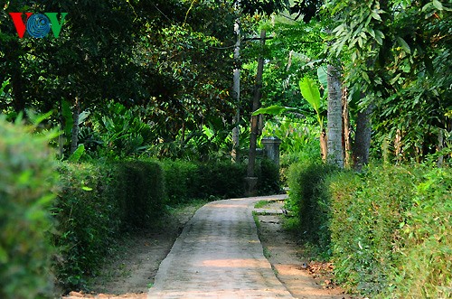 Das 500 Jahre alte Dorf Phuoc Tich in Hue - ảnh 11