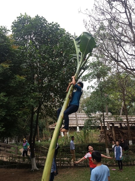 Feierlichkeiten zum Tetfest im ethnologischen Museum - ảnh 7