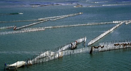 Die Schönheit der Lagunen in Hue - ảnh 2