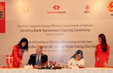 Dänische Botschaft und Vietnams Außenministerium unterzeichnen gemeinsamen Aktionsplan 2016 - ảnh 1