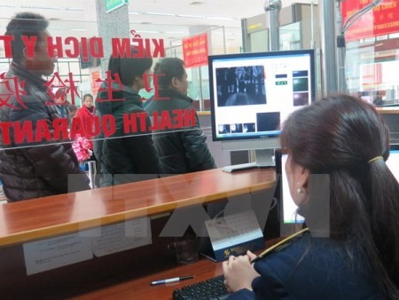 Kein Zika-Virus bislang in Vietnam entdeckt - ảnh 1