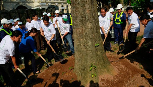 Provinzen in Vietnam begrüßen den Weltumwelttag - ảnh 1