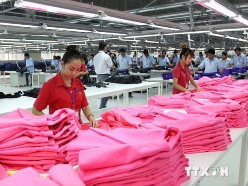 Ho Chi Minh Stadt empfängt neue Investitionsquelle aus Malaysia - ảnh 1