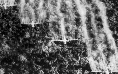 Bewältigung der Folgen des Agent-Orange-Giftstoffes in Vietnam - ảnh 1