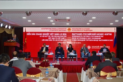 Unternehmensforum Vietnam – Russland - ảnh 1