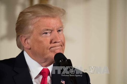 Präsidenten der USA und Frankreich diskutieren die Kooperation in Syrien und Irak - ảnh 1