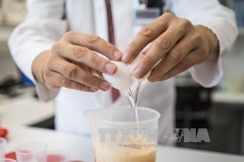 EU plant für September Krisentreffen zu verseuchten Eiern - ảnh 1