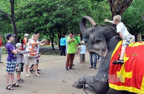 Provinz Khanh Hoa begrüßt den zweimillionensten internationalen Touristen im Jahr 2017 - ảnh 1