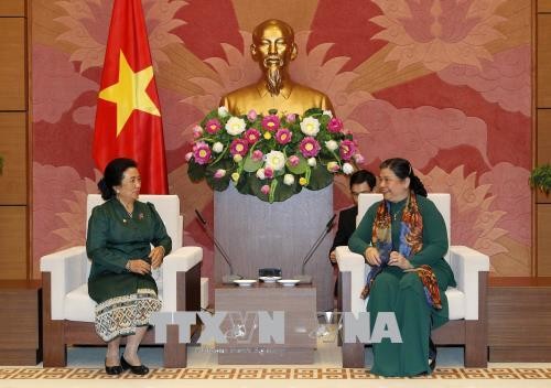 Verstärkung der umfassenden Zusammenarbeit zwischen Vietnam und Laos - ảnh 1