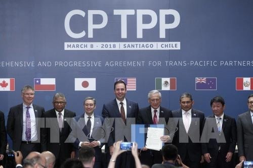 Vietnam spielt eine wichtige Rolle bei der CPTPP-Strategie Japans - ảnh 1