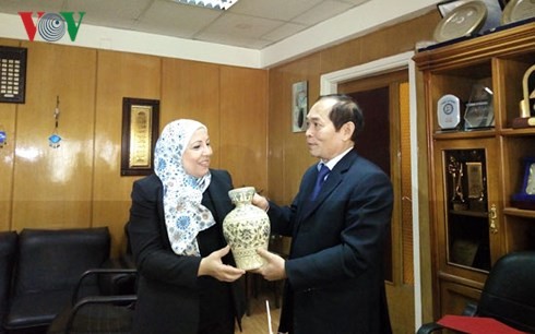 Vorstellung der Kultur und Musik Vietnams und Ägyptens im Radiosender - ảnh 1