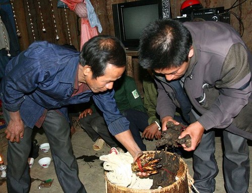 Sitten und Bräuche bei der Hochzeit der Mang in Lai Chau - ảnh 1