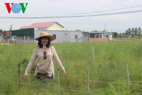 Erlebnistouren in Ninh Thuan - ảnh 1