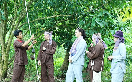 Besuch im Obstgarten von Vam Xang in Can Tho - ảnh 1