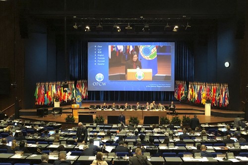 Vietnam verurteilt die Nutzung von Chemiewaffen - ảnh 1