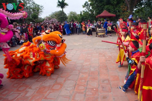 Das Frühlingsfest im Dorf Nom - ảnh 7