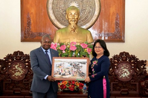 Provinz Can Tho verstärkt Zusammenarbeit mit Mosambik - ảnh 1