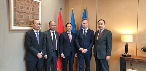 Sonderbeauftragter des vietnamesischen Premierministers besucht Frankreich - ảnh 1