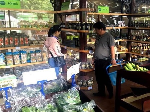 Unterstützung der Unternehmen bei der Werbung ihrer Produkte in Südafrika - ảnh 1