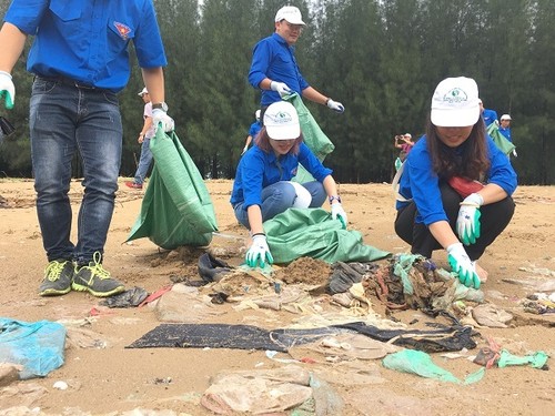 Aktionsmonat für Umwelt und Anti-Plastikmüll-Bewegung starten - ảnh 1