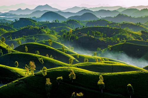 Zehn ausgezeichnete Fotos des Wettbewerbs “Vietnam von oben” 2019 - ảnh 5