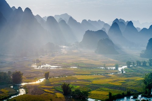 Gemeinnützige Ausstellung “Reise des Lichts” zieht zahlreiche Besucher an - ảnh 12