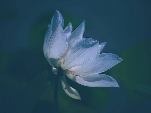 Gemeinnützige Ausstellung “Reise des Lichts” zieht zahlreiche Besucher an - ảnh 13